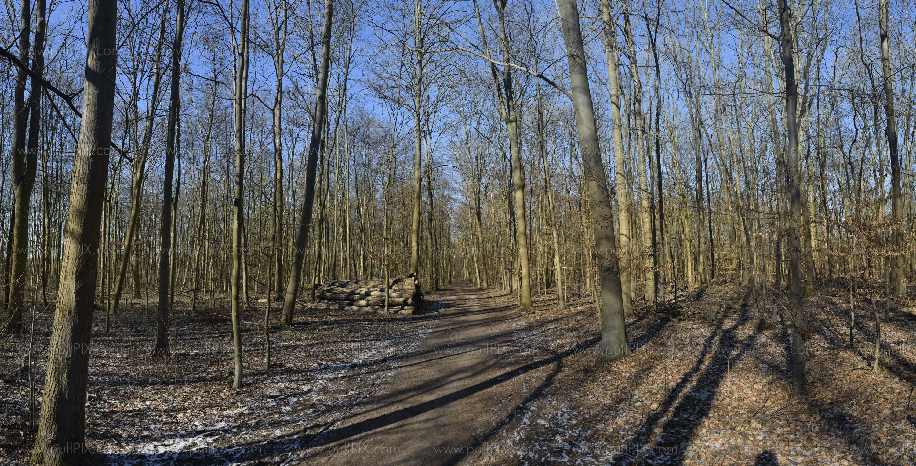 Preview Waldweg im winter 1.jpg